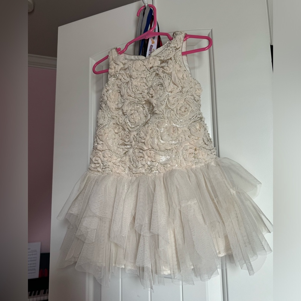 Biscotti girl dress size 3t